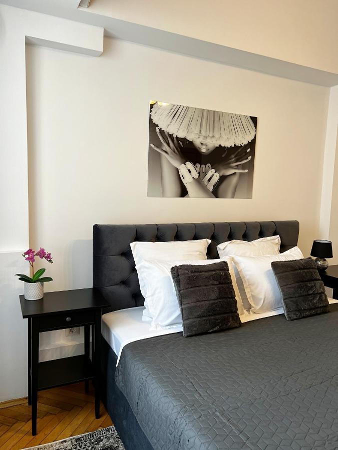 City View - Luxury Apartment - Sanador Victoriei Bucureşti Exterior foto