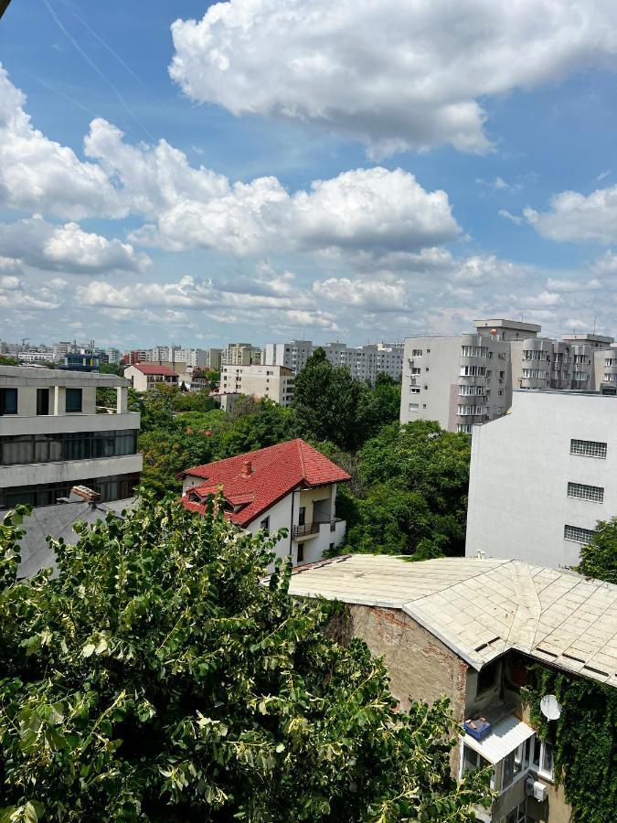 City View - Luxury Apartment - Sanador Victoriei Bucureşti Exterior foto